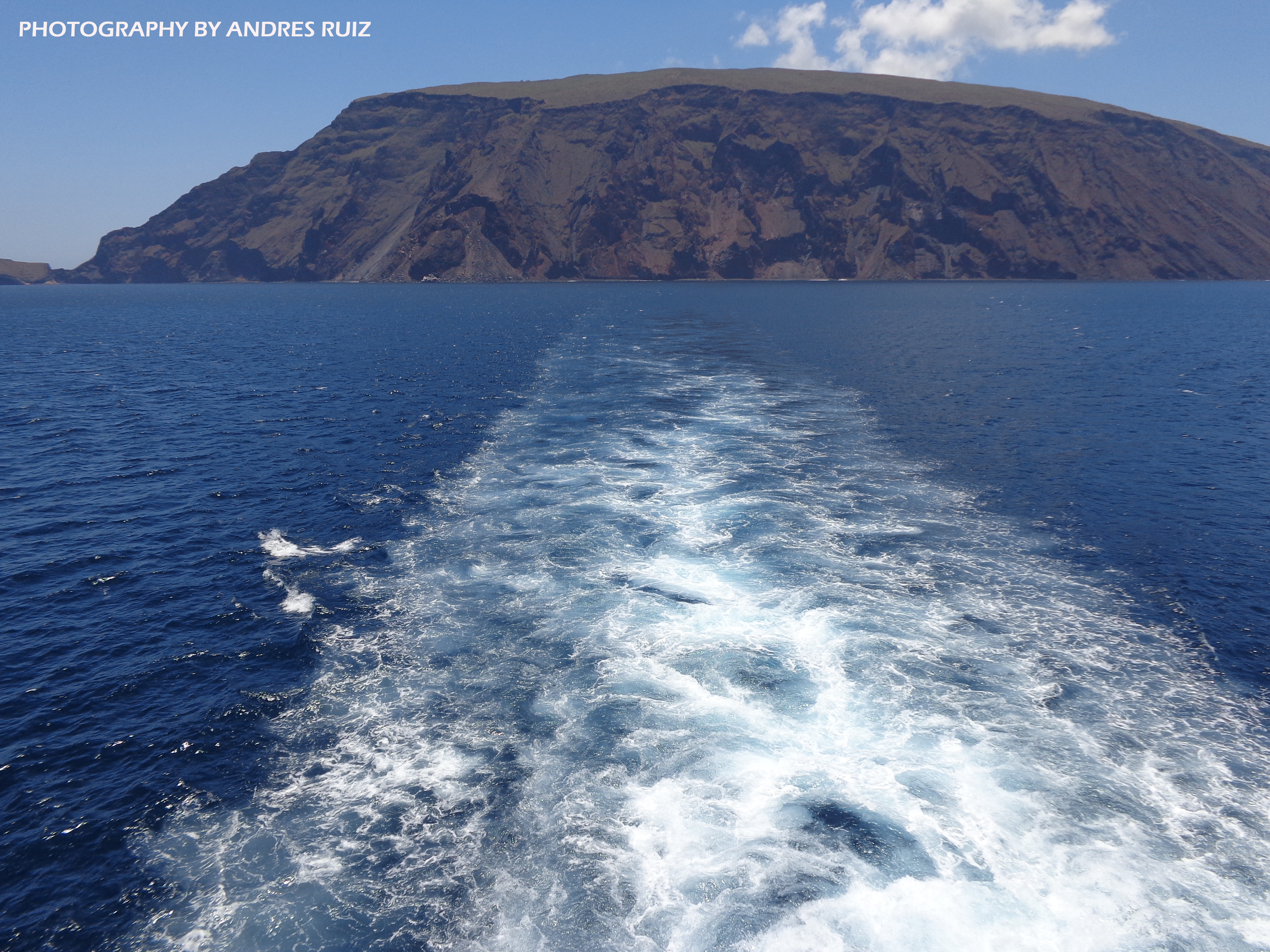We offer the best options & deals for your Galapagos Adventure…!!!