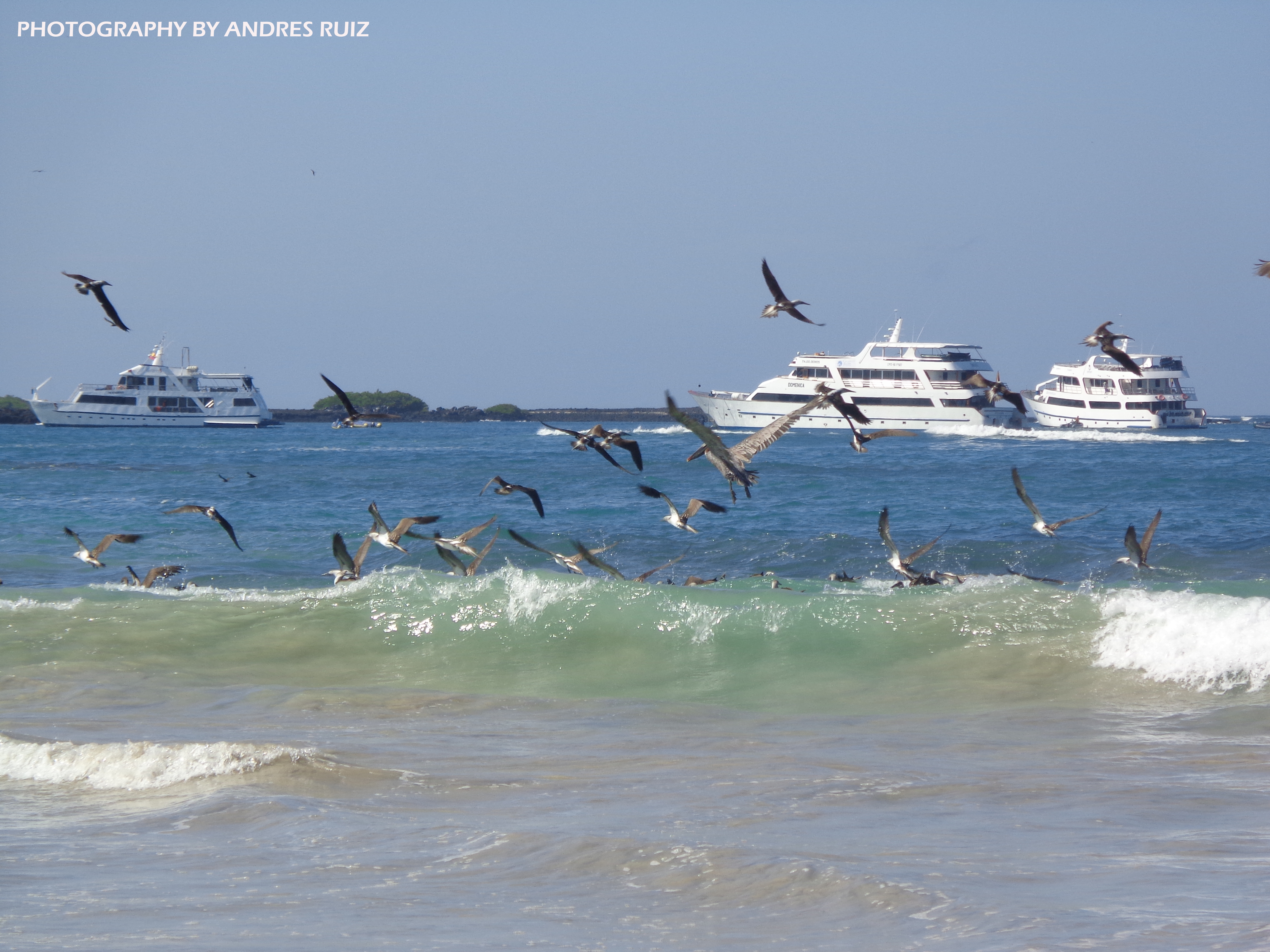 We offer the best options & deals for your Galapagos Adventure…!!!