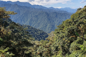 BELLAVISTA CLOUD FOREST LODGE - Tandayapa