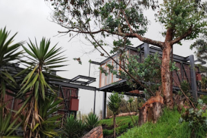 DELUXE VOLCAN GLAMPING TYPE – Baños