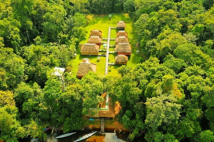 GREEN FOREST ECOLODGE