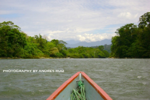 Highlands + Jungle + Galapagos