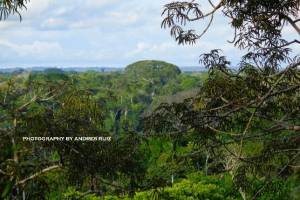 Higlands + Jungle + Galapagos 