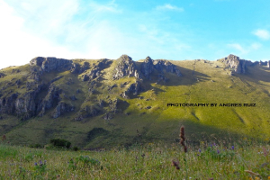Highlands of Ecuador