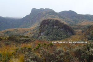 Highlands of Ecuador