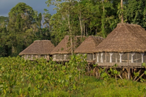 KAPAWI ECOLODGE & RESERVE - Pastaza