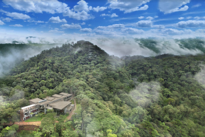 MASHPI LODGE (CLOUD FOREST) - Pacto 