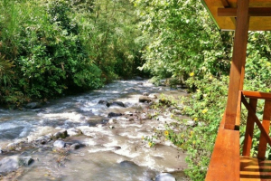 MINDO CLOUD FOREST TOUR