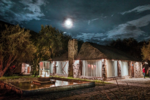 POLYLEPIS LODGE – El Angel Reserve