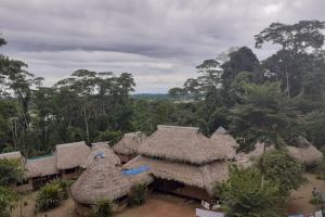 SACHA ÑAMPI LODGE – Nuevo Rocafuerte